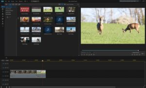 CyberLink PowerDirector 365 - video editor